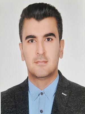 دکتر محمد حسین نیک پور